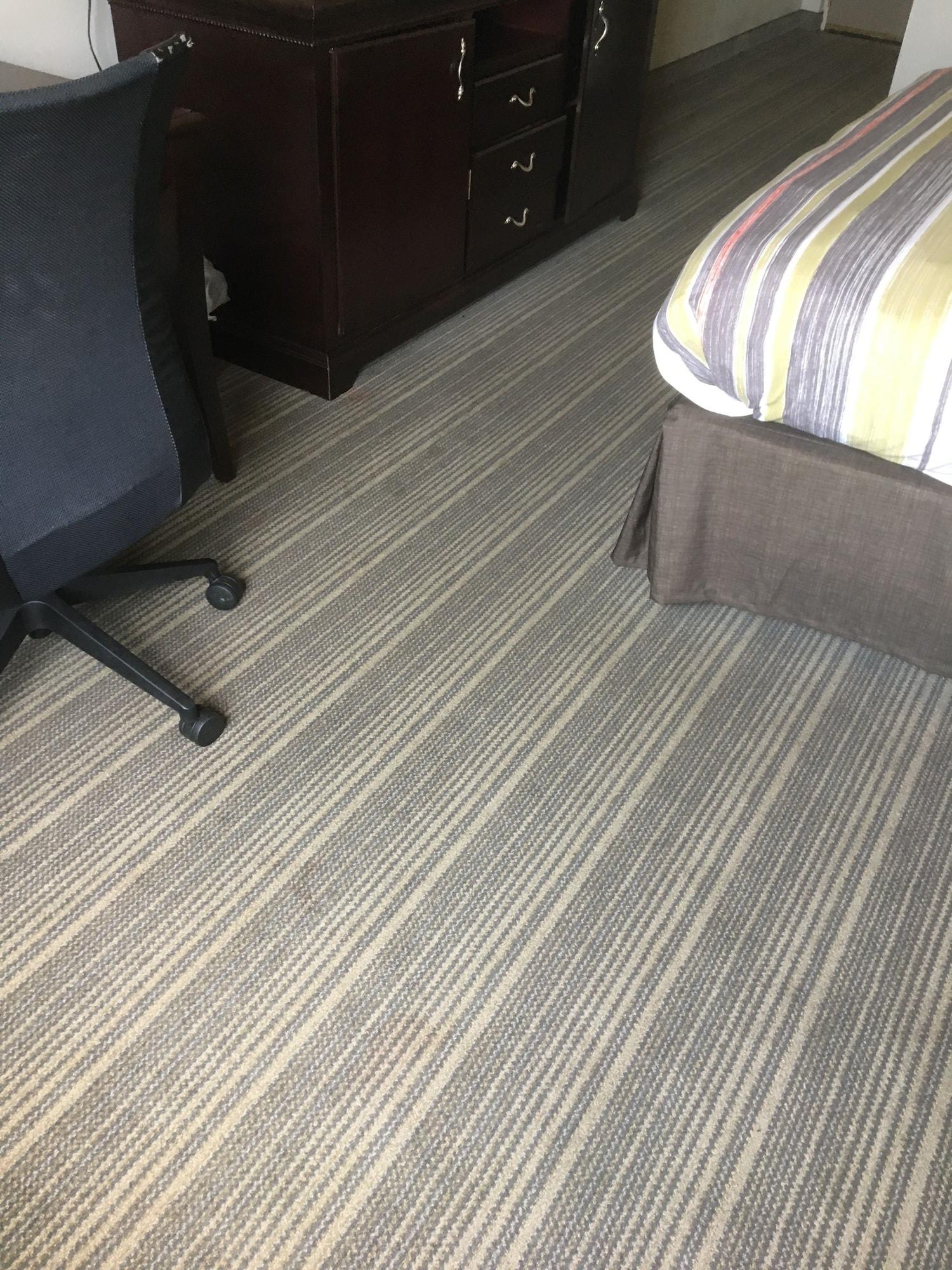 Baymont By Wyndham Sumter Hotel Kültér fotó
